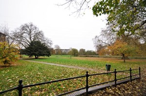 Photo5- click for photo gallery